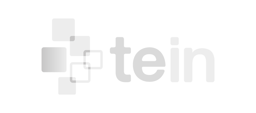 TEIN GROUP SPA